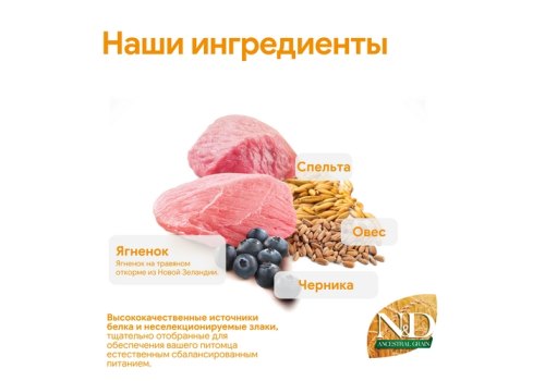 Farmina N&D Ancestral Grain Adult Mini Lamb Spelt Oats Blueberry / Сухой Низкозерновой корм Фармина для взрослых собак Мелких и Карликовых пород Ягненок с Черникой