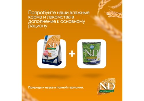 Farmina N&D Ancestral Grain Adult Mini Lamb Spelt Oats Blueberry / Сухой Низкозерновой корм Фармина для взрослых собак Мелких и Карликовых пород Ягненок с Черникой