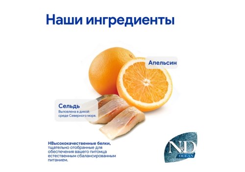 Farmina N&D Ocean Line Adult Medium Maxi Herring & Orange Grain free / Сухой Беззерновой корм Фармина для взрослых собак Средних и Крупных пород Сельдь с Апельсином