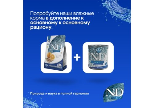 Farmina N&D Ocean Line Adult Medium Maxi Herring & Orange Grain free / Сухой Беззерновой корм Фармина для взрослых собак Средних и Крупных пород Сельдь с Апельсином