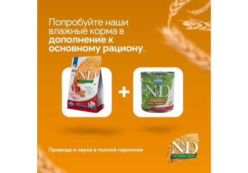 Farmina N&D Ancestral Grain Senior Medium Maxi Chicken Spelt Oats Pomegranate / Сухой Низкозерновой корм Фармина для Пожилых собак Средних и Крупных пород Курица с Гранатом