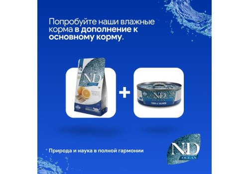 Farmina N&D Ocean Line Adult Herring & Orange Grain free / Сухой Беззерновой корм Фармина для взрослых кошек Сельдь с Апельсином