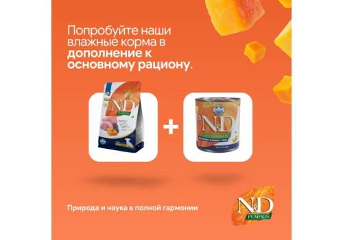 Farmina N&D Pumpkin Line Puppy Mini Pumpkin Lamb & Blueberry Grain free / Сухой Беззерновой корм Фармина для Щенков Мелких пород Ягненок с Черникой и Тыквой