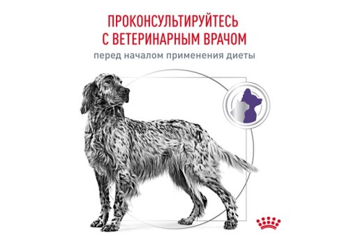 Royal Canin Neutered Adult Dog / Ветеринарный влажный корм (Паучи) Роял Канин Ньютрид Эдалт для Стерилизованных или склонных к набору веса взрослых собак