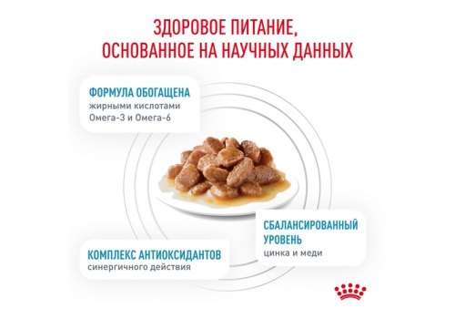 Royal Canin Skin & Coat / Ветеринарный влажный корм (Консервы-Паучи) Роял Канин Скин энд Коат для Кастрированных котов и Стерилизованных кошек с Чувствительной кожей (цена за упаковку)
