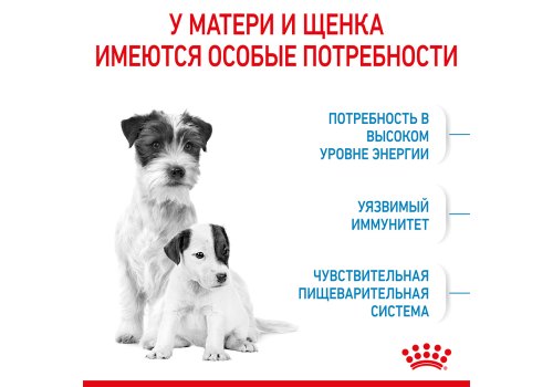 Royal Canin Mini Starter / Сухой корм Роял Канин Мини Стартер для Щенков Мелких пород в возрасте до 2 месяцев Royal Canin Mini Starter / Сухой корм Роял Канин Мини Стартер для Щенков Мелких пород в возрасте до 2 месяцев