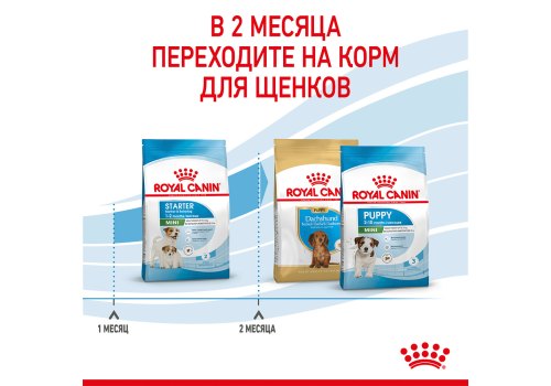 Royal Canin Mini Starter / Сухой корм Роял Канин Мини Стартер для Щенков Мелких пород в возрасте до 2 месяцев