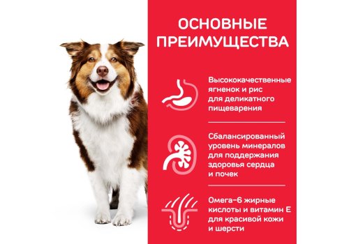 Hills Science Plan Mature Adult 7+ Medium Lamb & Rice / Сухой корм Хиллс для собак Средних пород старше 7 лет Ягненок с рисом