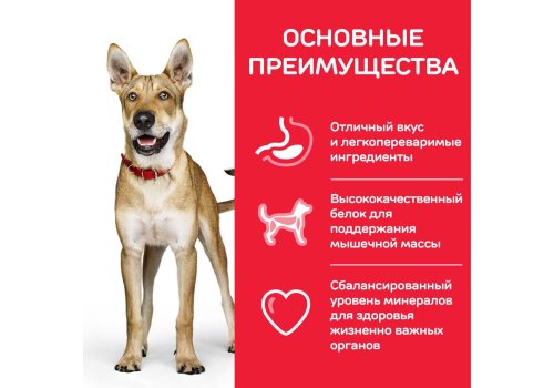 Hills Science Plan Performance Adult / Сухой корм Хиллс для Активных собак Высококалорийный Курица Hills Science Plan Performance Adult / Сухой корм Хиллс для Активных собак Высококалорийный Курица
