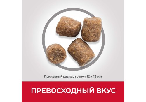 Hills Science Plan Performance Adult / Сухой корм Хиллс для Активных собак Высококалорийный Курица Hills Science Plan Performance Adult / Сухой корм Хиллс для Активных собак Высококалорийный Курица