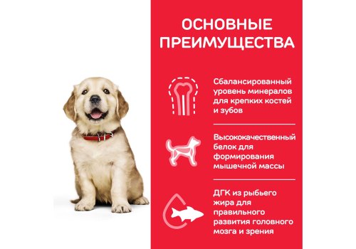 Hills Science Plan Puppy Large / Сухой корм Хиллс для Щенков Крупных пород Курица