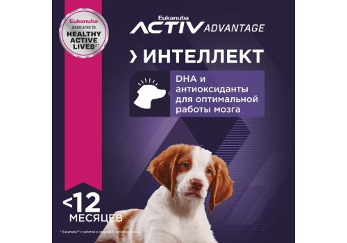 Eukanuba Puppy Lamb & Rice / Сухой корм Эукануба для Щенков всех пород с Ягненком и рисом