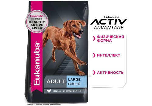 Eukanuba Adult Large Breed / Сухой корм Эукануба для взрослых собак Крупных пород с Курицей Eukanuba Adult Large Breed / Сухой корм Эукануба для взрослых собак Крупных пород с Курицей