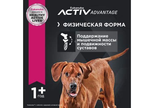 Eukanuba Adult Large Breed / Сухой корм Эукануба для взрослых собак Крупных пород с Курицей Eukanuba Adult Large Breed / Сухой корм Эукануба для взрослых собак Крупных пород с Курицей