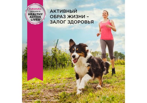 Eukanuba Adult Medium Breed / Сухой корм Эукануба для взрослых собак Средних пород с Курицей