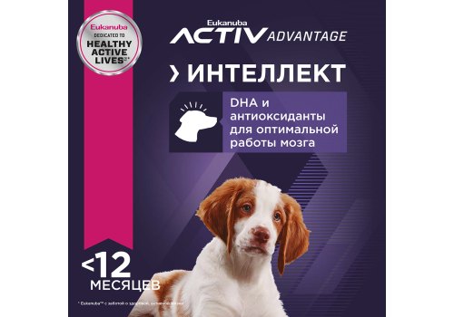 Eukanuba Puppy Medium Breed / Сухой корм Эукануба для Щенков Средних пород с Курицей