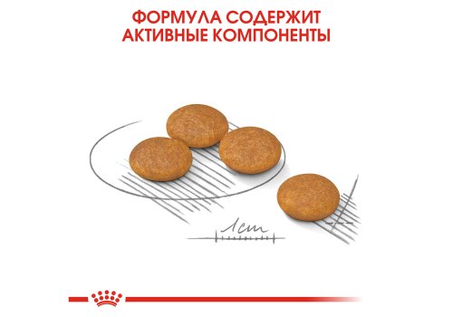 Royal Canin Mini Dermacomfort / Сухой корм Роял Канин Мини Дермакомфорт для собак Мелких пород с Кожным раздражением и зудом