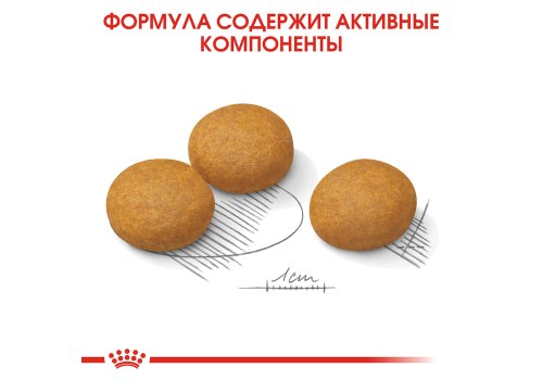 Royal Canin Maxi Dermacomfort / Сухой корм Роял Канин Макси Дермакомфорт для собак Крупных пород с Кожным раздражением и зудом