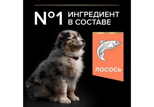 PRO PLAN OPTI DERMA / Сухой корм ПРО ПЛАН для щенков средних пород при чувствительной коже с лососем PRO PLAN OPTI DERMA / Сухой корм ПРО ПЛАН для щенков средних пород при чувствительной коже с лососем