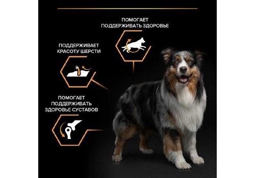 PRO PLAN OPTI BALANCE / Сухой корм ПРО ПЛАН для взрослых собак средних пород с курицей PRO PLAN OPTI BALANCE / Сухой корм ПРО ПЛАН для взрослых собак средних пород с курицей