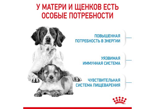 Royal Canin Medium Starter / Сухой корм Роял Канин Медиум Стартер для Щенков Средних пород в возрасте до 2 месяцев