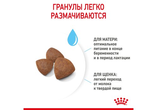 Royal Canin Medium Starter / Сухой корм Роял Канин Медиум Стартер для Щенков Средних пород в возрасте до 2 месяцев