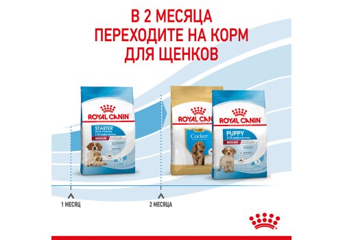 Royal Canin Medium Starter / Сухой корм Роял Канин Медиум Стартер для Щенков Средних пород в возрасте до 2 месяцев
