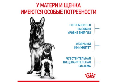 Royal Canin Maxi Starter / Сухой корм Роял Канин Макси Стартер для Щенков Крупных пород до 2 месяцев