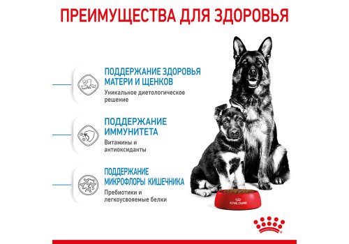 Royal Canin Maxi Starter / Сухой корм Роял Канин Макси Стартер для Щенков Крупных пород до 2 месяцев