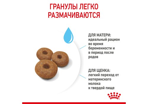 Royal Canin Maxi Starter / Сухой корм Роял Канин Макси Стартер для Щенков Крупных пород до 2 месяцев