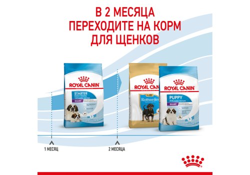 Royal Canin Giant Starter / Сухой корм Роял Канин Джайнт Стартер для Щенков Гигантских пород в возрасте до 2 месяцев