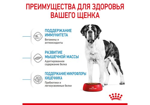 Royal Canin Giant Junior / Сухой корм Роял Канин Джайнт Юниор для Щенков Гигантских пород в возрасте от 8 месяцев до 2 лет
