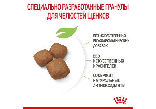 Royal Canin Giant Junior / Сухой корм Роял Канин Джайнт Юниор для Щенков Гигантских пород в возрасте от 8 месяцев до 2 лет