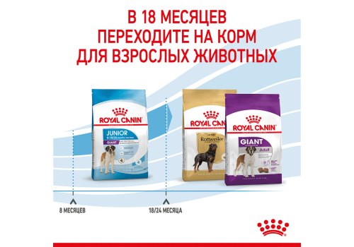 Royal Canin Giant Junior / Сухой корм Роял Канин Джайнт Юниор для Щенков Гигантских пород в возрасте от 8 месяцев до 2 лет