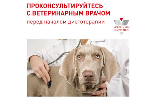 Royal Canin Neutered Adult Small Dog / Сухой корм Роял Канин для Кастрированных или Стерилизованных собак Мелких пород