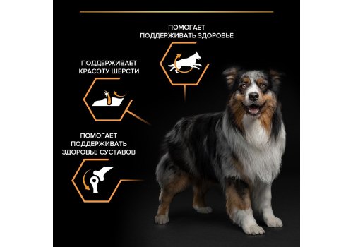 PRO PLAN OPTI BALANCE / Сухой корм ПРО ПЛАН для взрослых собак средних пород с курицей