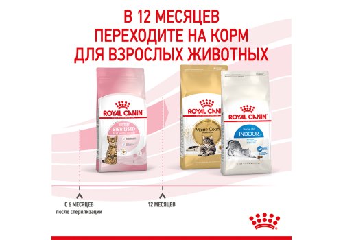 Royal Canin Kitten Sterilised / Сухой корм Роял Канин Киттен Стерилайзд для Стерилизованных и кастрированных Котят в возрасте до 1 года