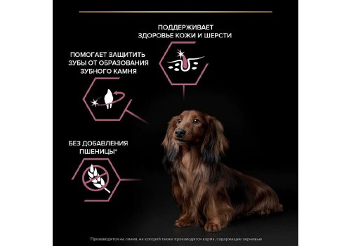 PRO PLAN OPTI DERMA / Сухой корм ПРО ПЛАН для взрослых собак мелких пород при чувствительной коже с лососем