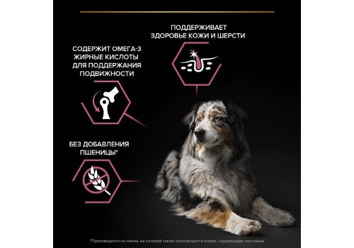 PRO PLAN OPTI DERMA / Сухой корм ПРО ПЛАН для пожилых собак средних и крупных пород при чувствительной коже с лососем