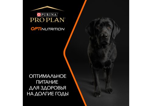 PRO PLAN OPTI BALANCE / Сухой корм ПРО ПЛАН для взрослых собак средних пород с курицей
