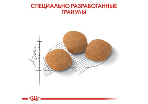 Royal Canin Exigent Protein Preference / Сухой корм Роял Канин Эксиджент для кошек Привередливых к составу