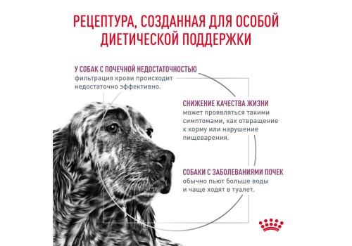Royal Canin Renal RF14 / Ветеринарный сухой корм Роял Канин Ренал для собак Заболевание почек (хроническая почечная недостаточность)