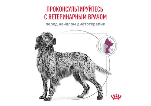 Royal Canin Renal RF14 / Ветеринарный сухой корм Роял Канин Ренал для собак Заболевание почек (хроническая почечная недостаточность)
