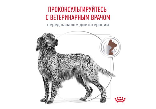 Royal Canin Hepatic HF16 / Ветеринарный сухой корм Роял Канин Гепатик для собак Заболевание печени Пироплазмоз