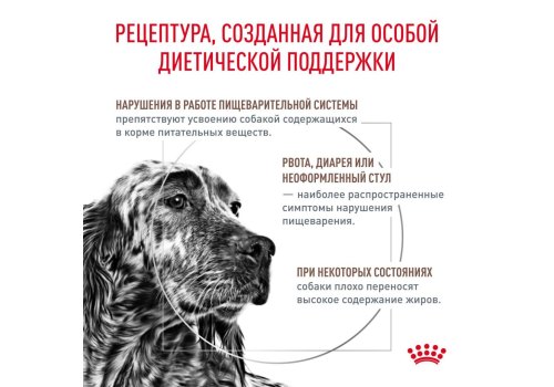 Royal Canin Gastro Intestinal Low Fat LF22 / Ветеринарный сухой корм Роял Канин Гастро Интестинал Лоу Фэт для собак при нарушении Пищеварения Низкокалорийный