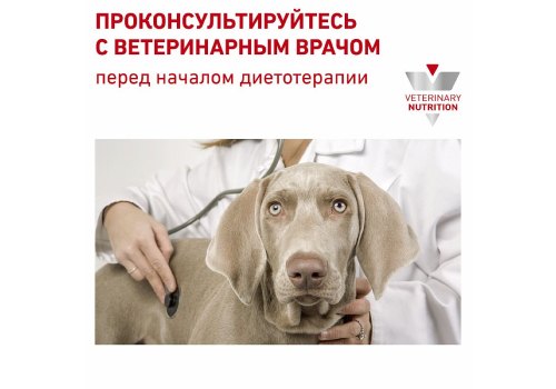 Royal Canin Renal Canine / Ветеринарный влажный корм (Консервы) Роял Канин Ренал для собак Заболевание почек (хроническая почечная недостаточность) (Цена за упаковку)