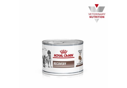 Royal Canin Recovery Canine / Ветеринарный влажный корм (Консервы) Роял Канин Рекавери для собак и кошек Анорексия Восстановление Кормление через зонд (Цена за упаковку)