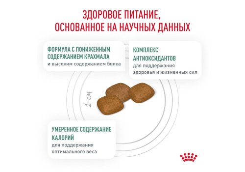 Royal Canin Diabetic Canine DC37 / Ветеринарный сухой корм Роял Канин Диабетик для собак Сахарный диабет