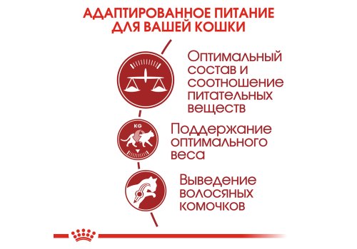 Royal Canin Fit / Сухой корм Роял Канин Фит для Взрослых кошек в возрасте от 1 года до 7 лет