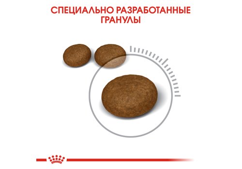 Royal Canin Hair & Skin Care / Сухой корм Роял Канин Хэйр & Скин Кэа для кошек Здоровая кожа и шерсть